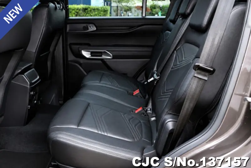 Ford Everest in Brown for Sale Image 9