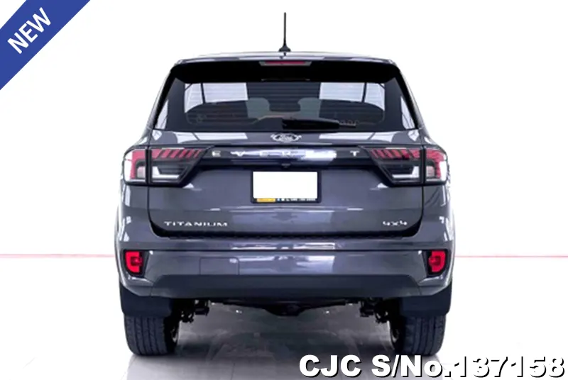 Ford Everest in Gray for Sale Image 2