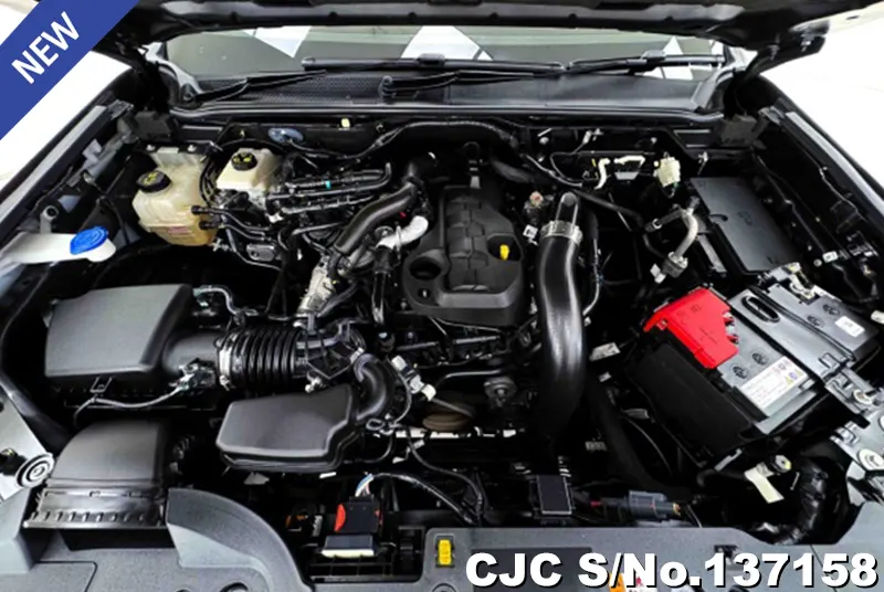 Ford Everest in Gray for Sale Image 10