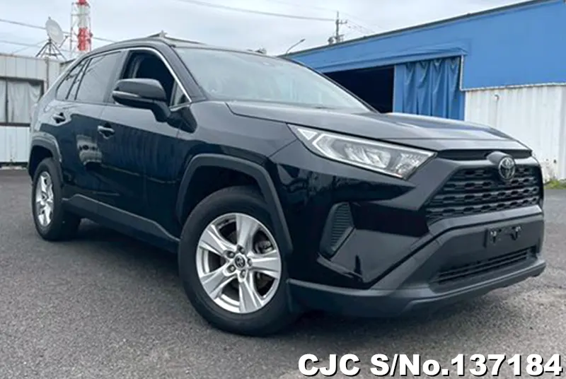 Toyota / Rav4 2019