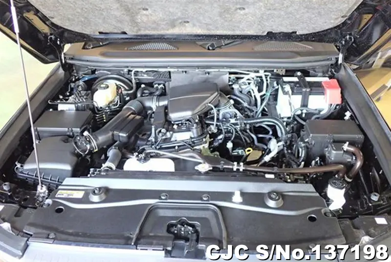 Toyota Land Cruiser 250 in Black for Sale Image 19