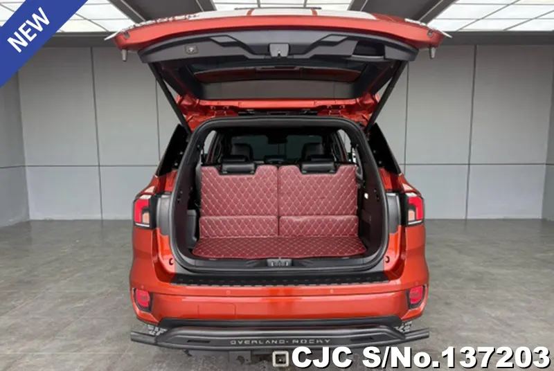 Ford Everest in Orange for Sale Image 4