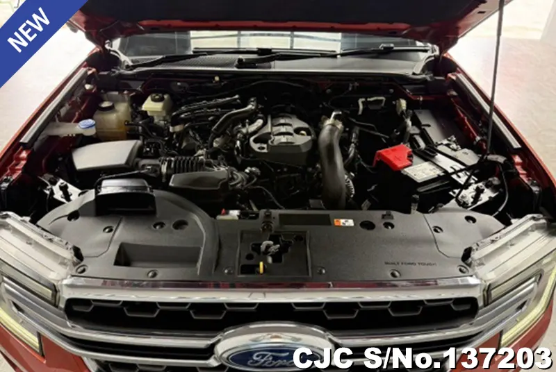 Ford Everest in Orange for Sale Image 12