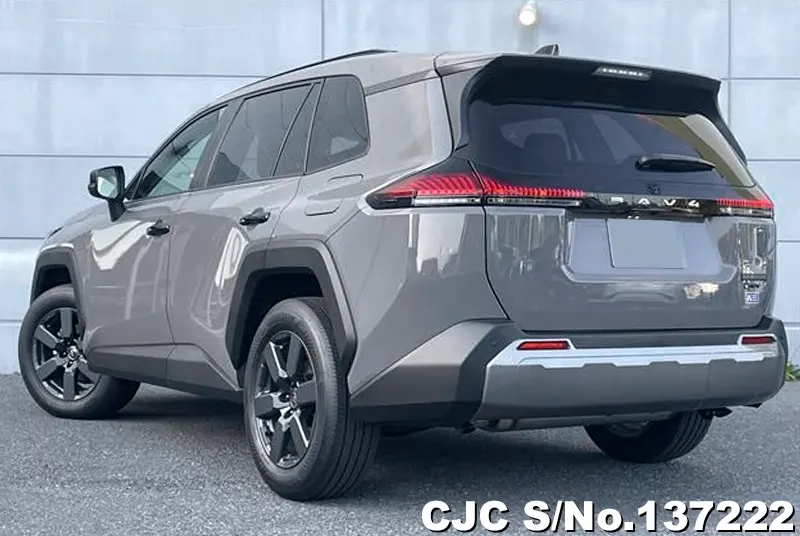 Toyota Rav4 in Gray for Sale Image 1
