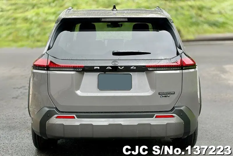 Toyota Rav4 in Gray for Sale Image 3
