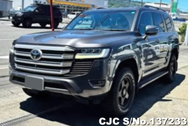 Toyota Land Cruiser in Gray for Sale Image 3
