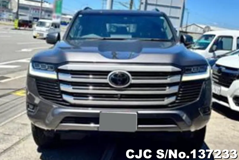 Toyota Land Cruiser in Gray for Sale Image 4