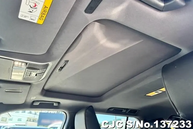 Toyota Land Cruiser in Gray for Sale Image 17