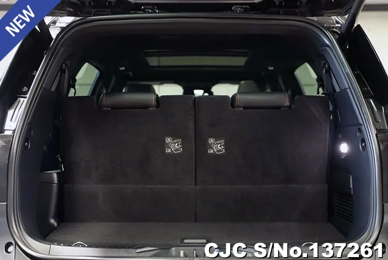 Ford Everest in Gray for Sale Image 3