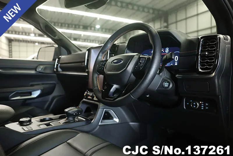 Ford Everest in Gray for Sale Image 5