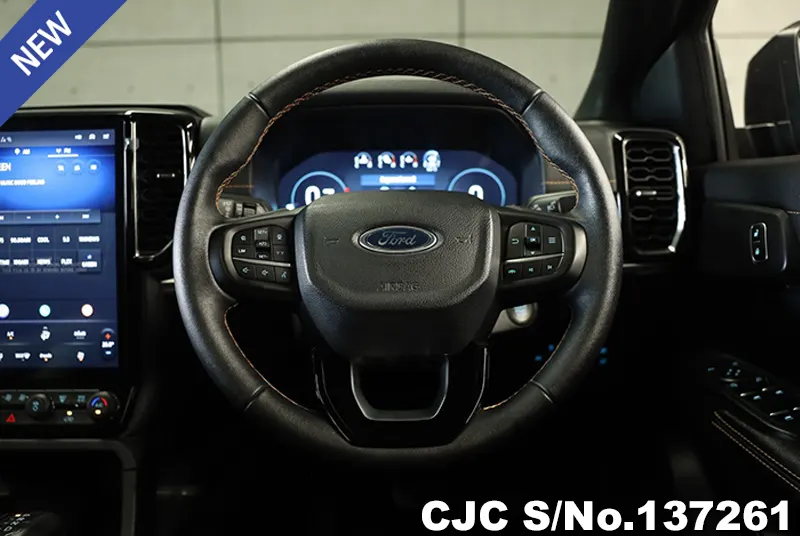 Ford Everest in Gray for Sale Image 9