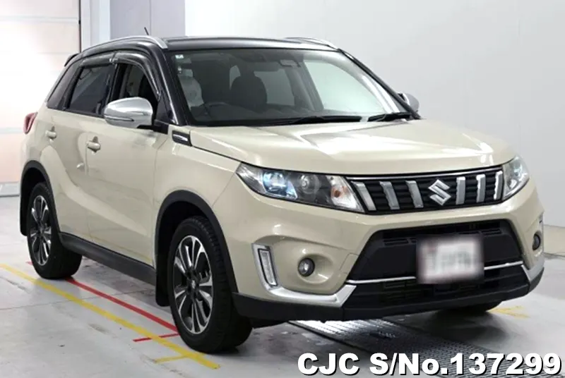 Suzuki / Escudo 2020