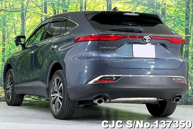 Toyota Harrier in Gray for Sale Image 1