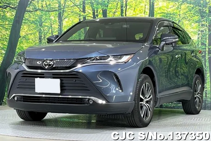 Toyota Harrier in Gray for Sale Image 3