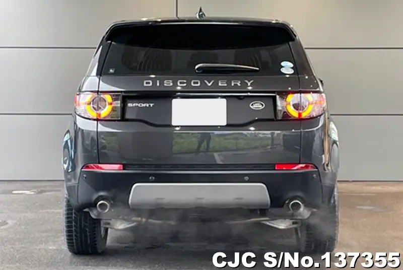 Land Rover Discovery in Gray for Sale Image 4