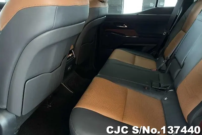 Lexus GX 550 in Pearl for Sale Image 14