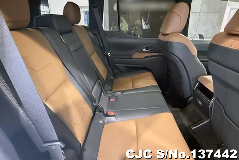 Lexus GX 550 in Pearl for Sale Image 14