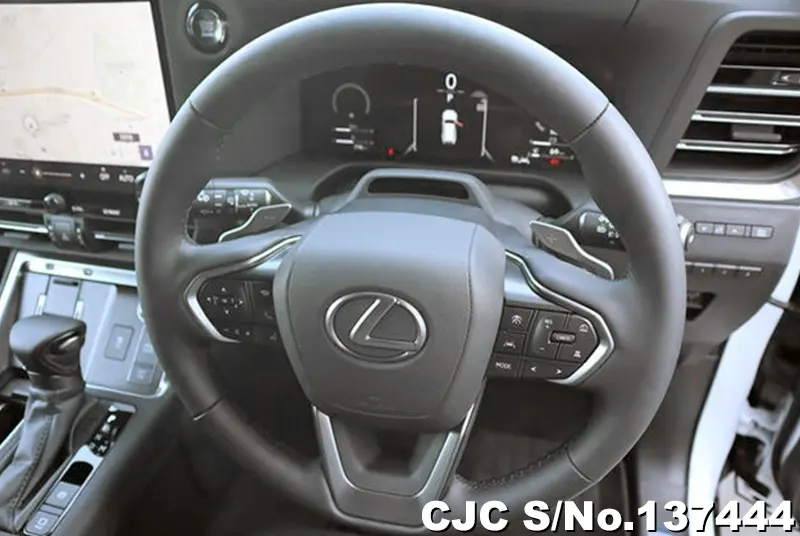 Lexus GX 550 in Pearl for Sale Image 12