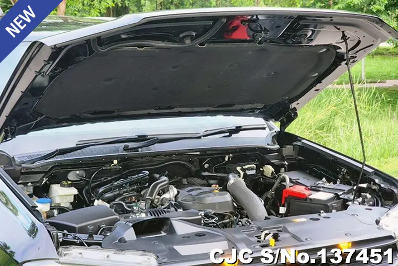 Ford Everest in Black for Sale Image 15