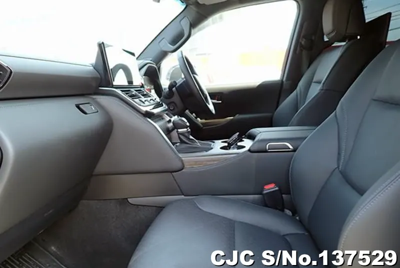 Toyota Land Cruiser in Pearl for Sale Image 14