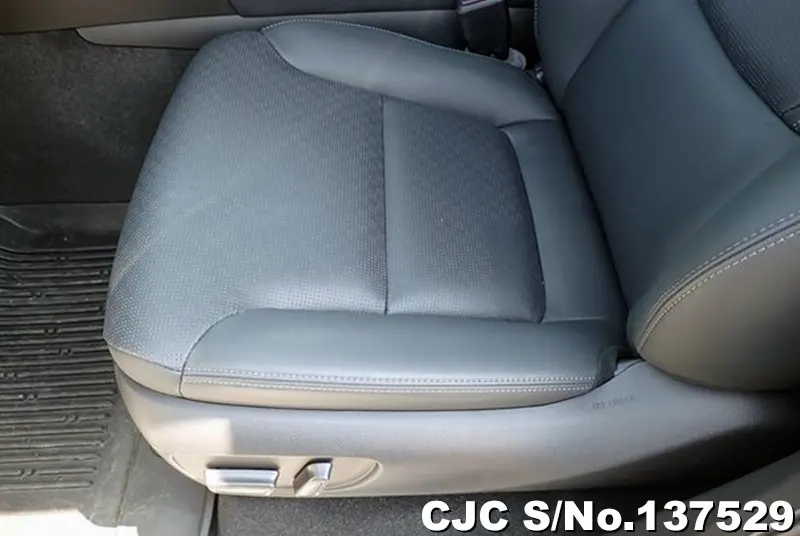 Toyota Land Cruiser in Pearl for Sale Image 20
