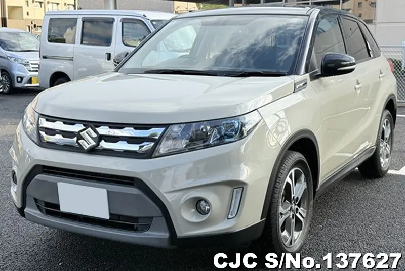 Suzuki Escudo in Brown for Sale Image 3