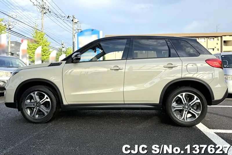 Suzuki Escudo in Brown for Sale Image 7