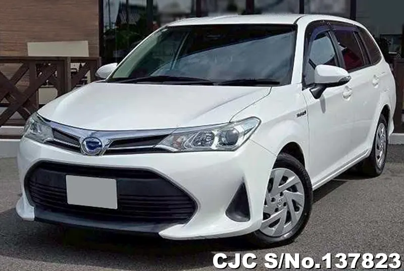 Toyota / Corolla Fielder 2019
