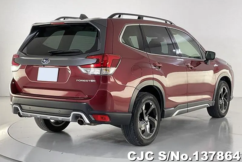 Subaru Forester in Wine for Sale Image 2