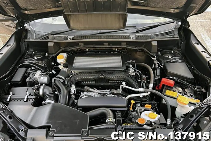 Subaru Forester in Black for Sale Image 19