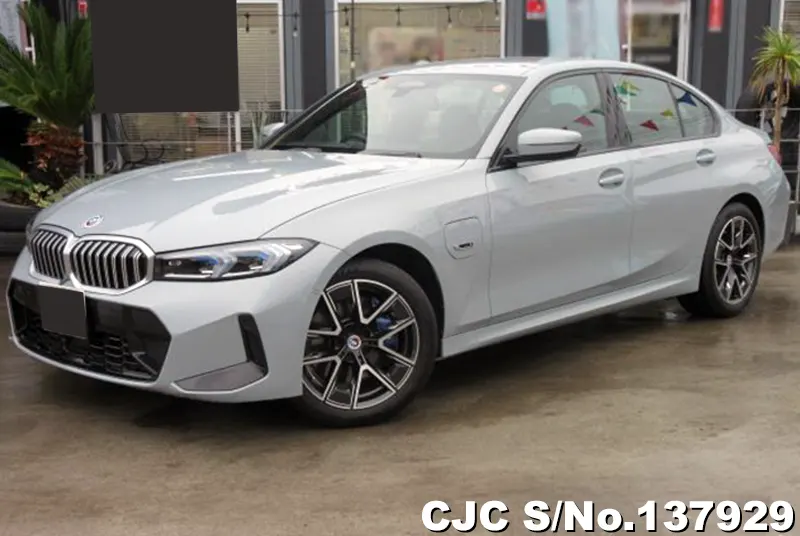 BMW 3 Series in Gray for Sale Image 3