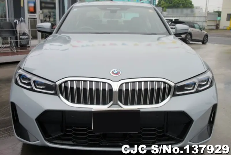 BMW 3 Series in Gray for Sale Image 4