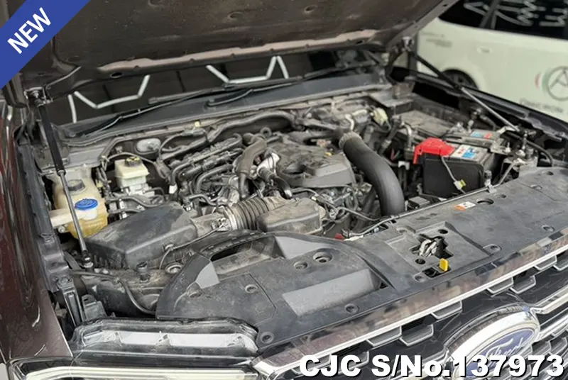Ford Everest in Sugar for Sale Image 10