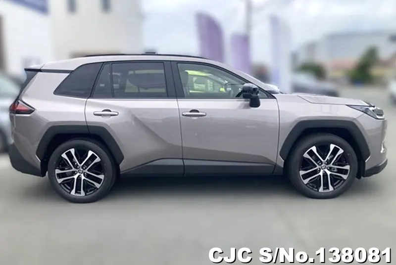 Toyota Rav4 in Brown for Sale Image 3