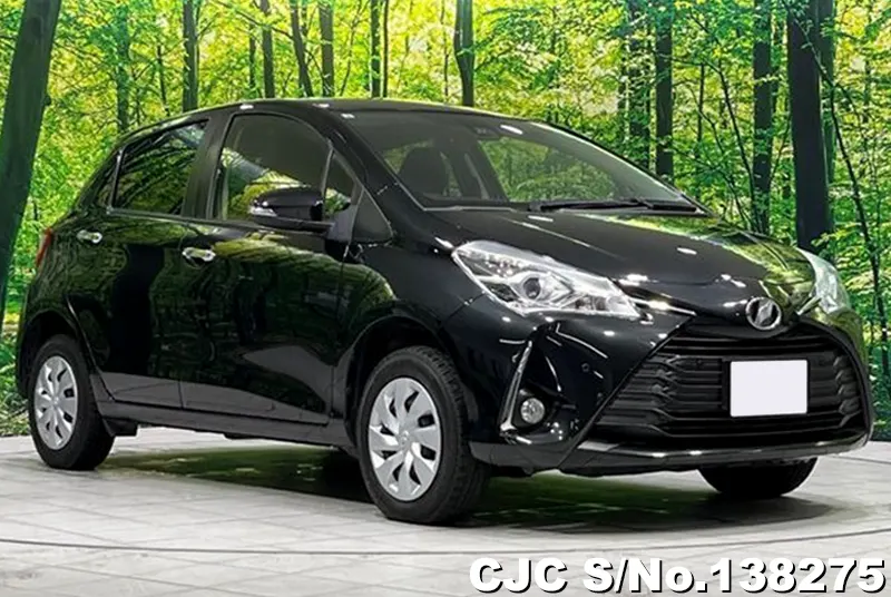 Toyota / Vitz 2019