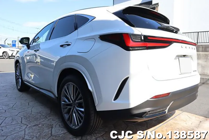 Lexus NX 350H in Pearl for Sale Image 1