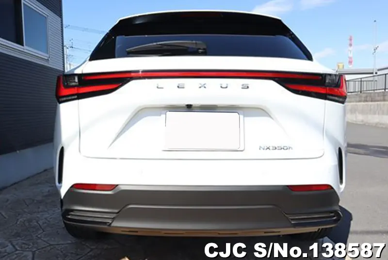 Lexus NX 350H in Pearl for Sale Image 4