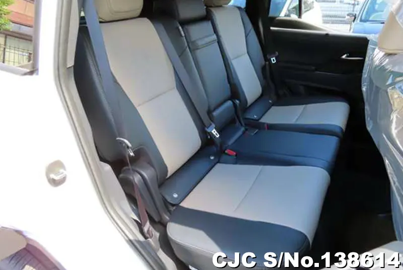 Lexus GX 550 in Pearl for Sale Image 11