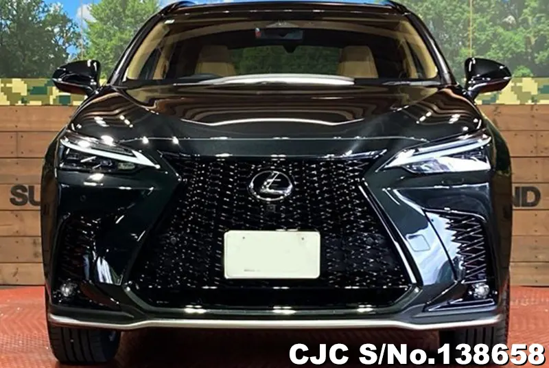 Lexus NX 350H in Black for Sale Image 4
