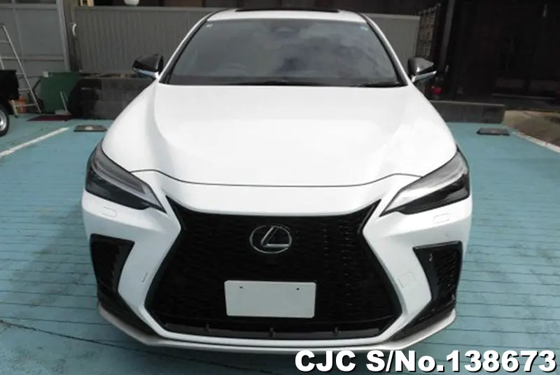 Lexus NX 350H in Pearl for Sale Image 4
