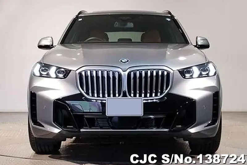 BMW X5 in Gray for Sale Image 2
