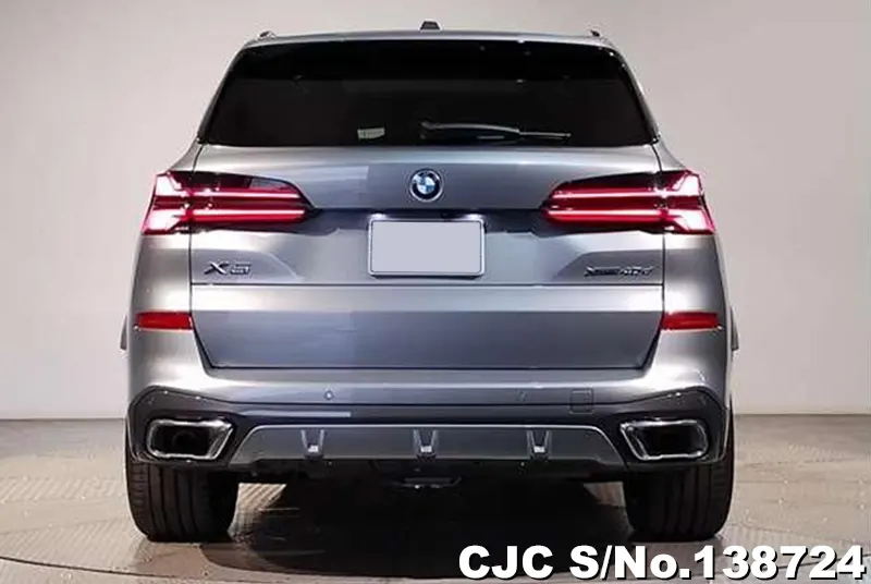 BMW X5 in Gray for Sale Image 3