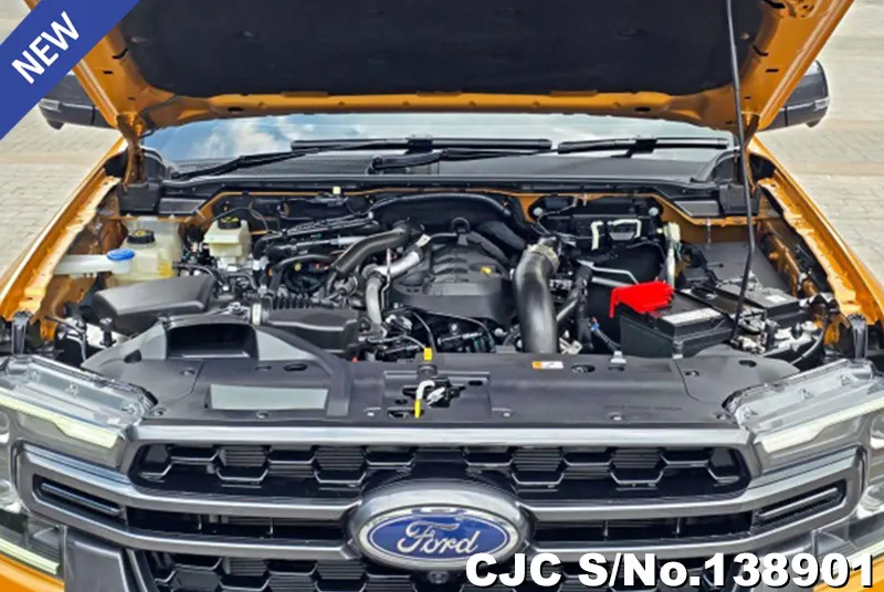 Ford Everest in Yellow for Sale Image 12