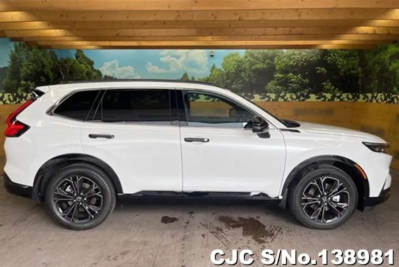 Honda CRV in Pearl for Sale Image 6