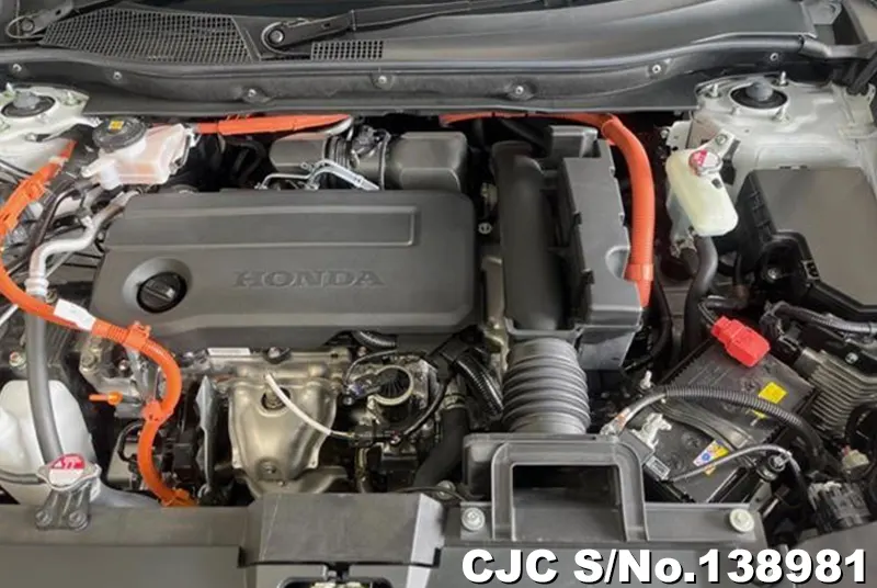 Honda CRV in Pearl for Sale Image 14