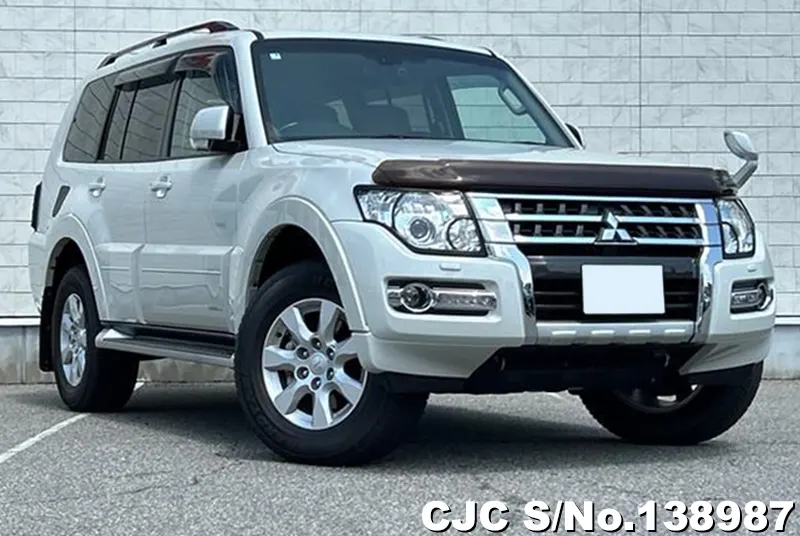 Mitsubishi / Pajero 2019