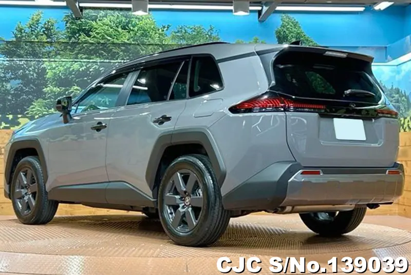 Toyota Rav4 in Gray for Sale Image 1