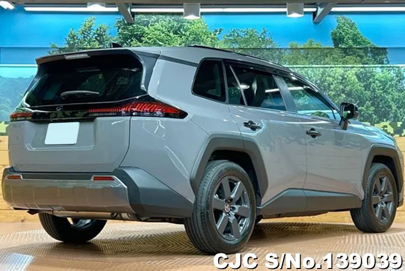 Toyota Rav4 in Gray for Sale Image 2