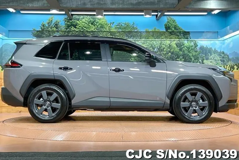 Toyota Rav4 in Gray for Sale Image 6
