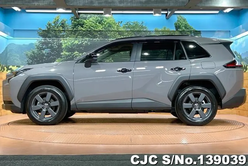 Toyota Rav4 in Gray for Sale Image 7